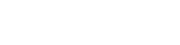 Logo Footer